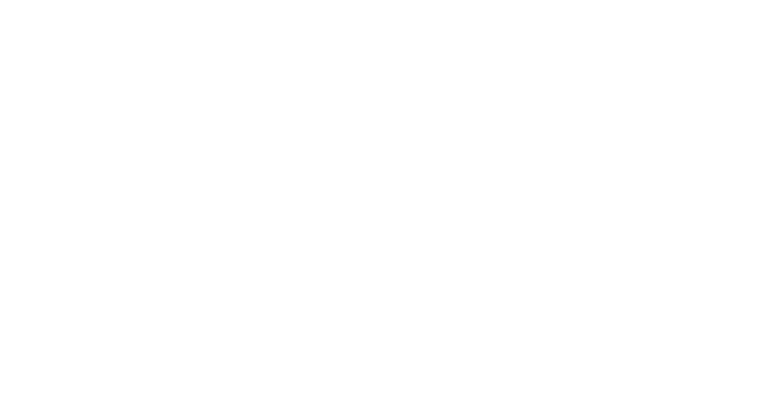 Logo Conecta